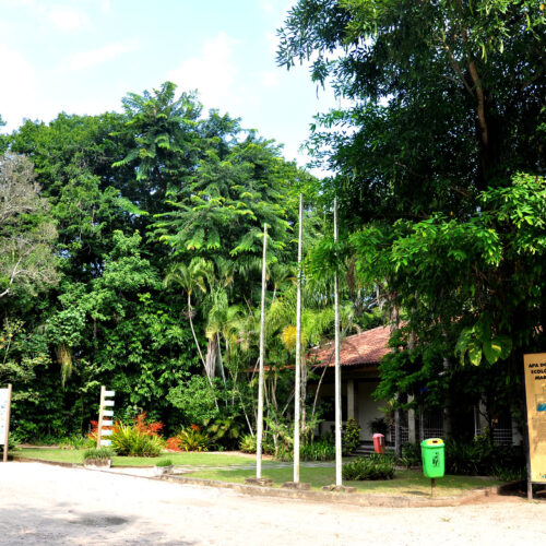 A Barra da Tijuca: um paraíso ecológico no coração da cidade maravilhosa - Informações - Barra da Tijuca