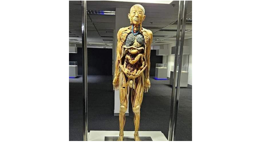 Eventos para curtir na Barra da Tijuca - News - Barra da Tijuca