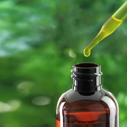 O que são óleos essenciais e para que servem? - News - Barra da Tijuca