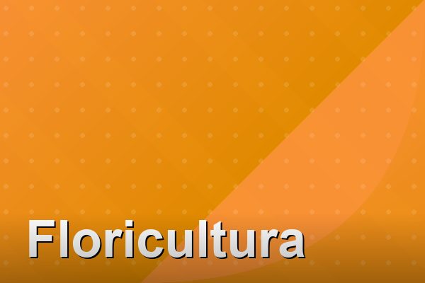 Floricultura na Barra da Tijuca