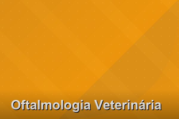 Oftalmologia Veterinária na Barra da Tijuca
