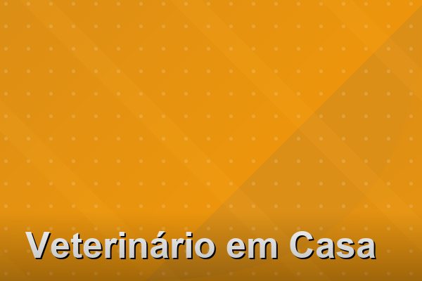Veterinário em Casa na Barra da Tijuca