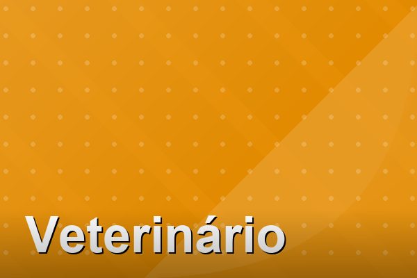 Veterinário na Barra da Tijuca