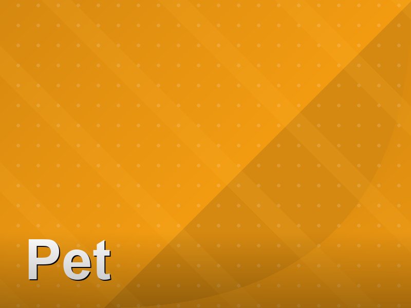 Pet na Barra da Tijuca