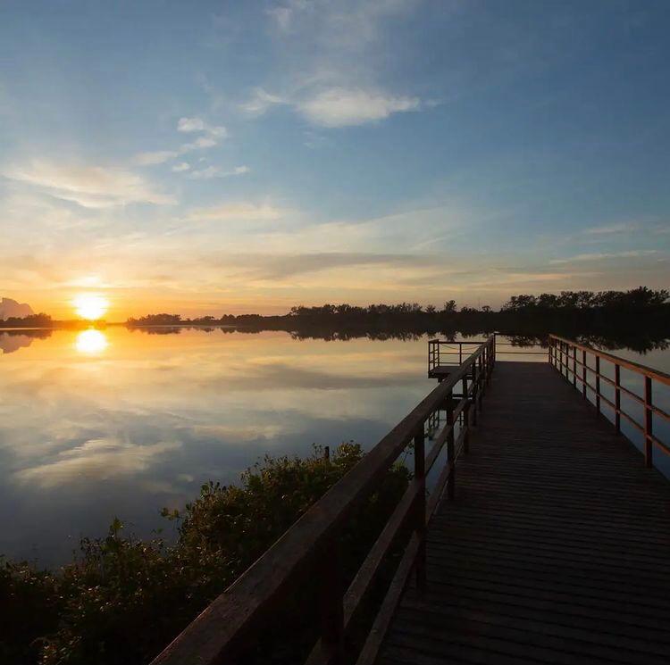 Parque Natural Municipal de Marapendi - Pantanal Carioca