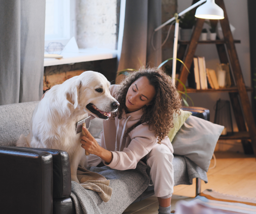 10 Motivos para chamar um Veterinário em casa na Barra da Tijuca